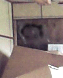 e0103408_13421815.gif