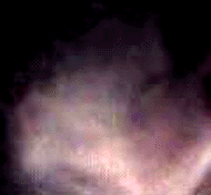 e0103408_1343261.gif
