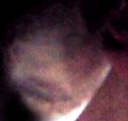 e0103408_1352661.gif