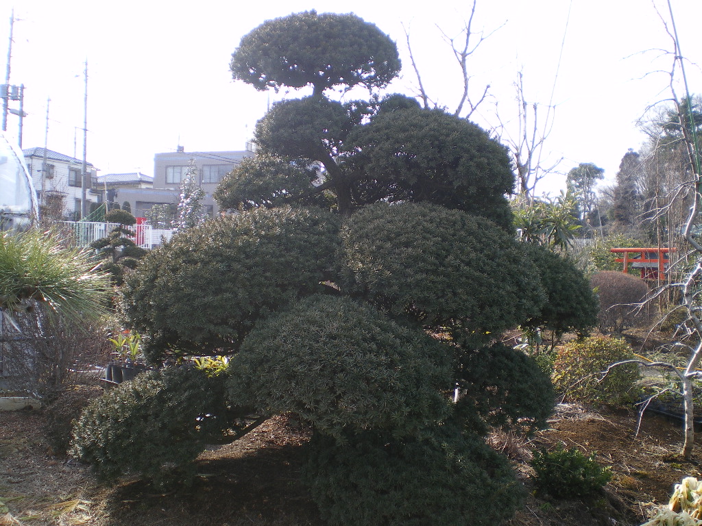 e0202109_2364845.jpg