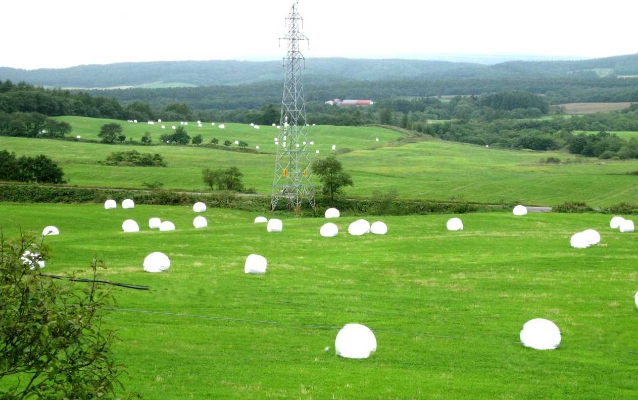 e0003910_22494842.jpg