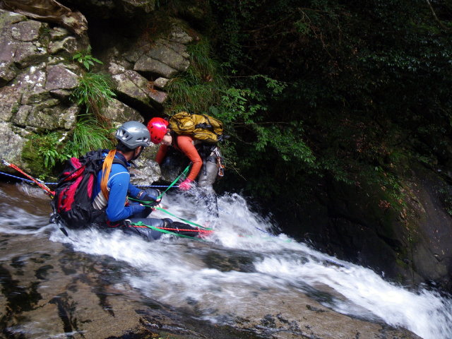 d0006512_2154277.jpg