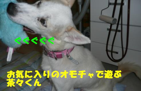 f0121712_1551745.jpg