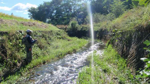 2010-09-26（日）の釣り　岩手県北にてＧＥＮさんと_a0079614_1145374.jpg