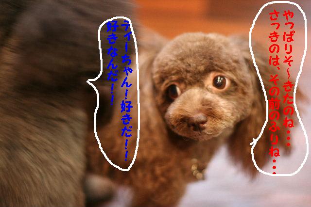 昨日とうって変わって！！_b0130018_9434844.jpg