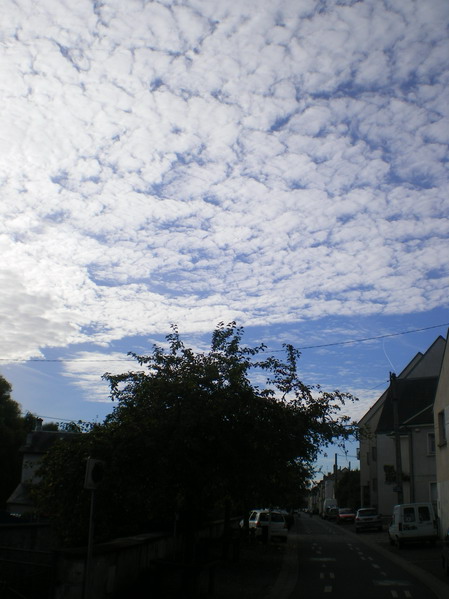 c0124619_23111191.jpg