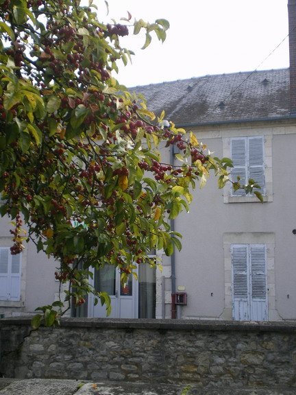 c0124619_23121270.jpg