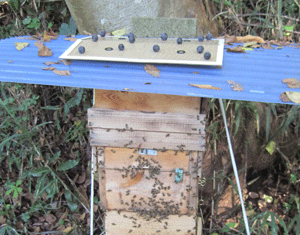 f0232920_17223956.gif