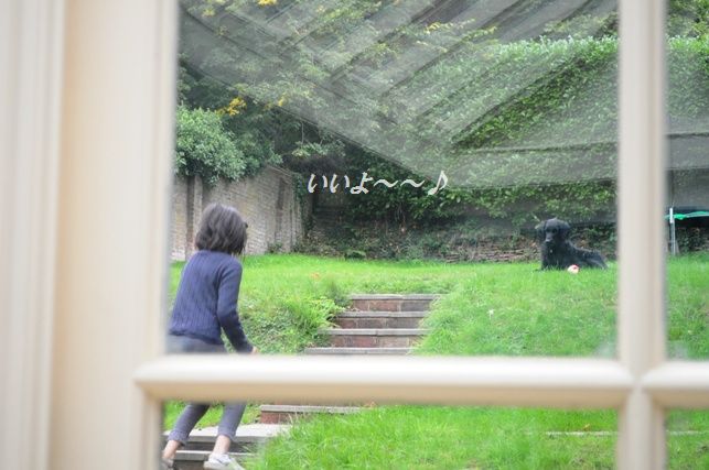 鶏のソテー☆お酢入り野菜たっぷりソース煮_d0104926_07759.jpg