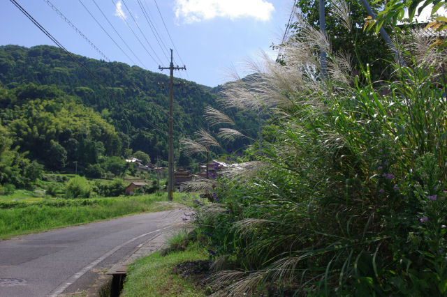 里山風景～花と虫とレンズ考～_f0007926_9202585.jpg