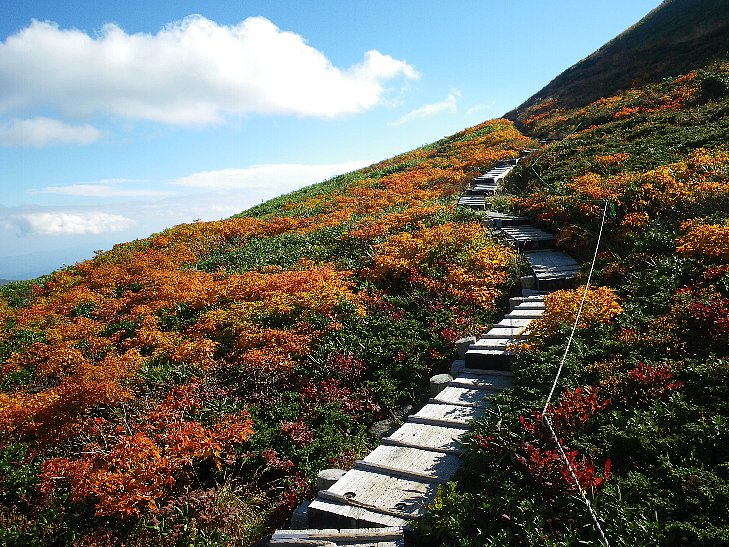 紅葉が見ごろになりました_f0118332_2171920.jpg