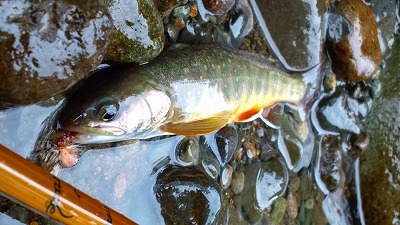 e0202845_00419.jpg