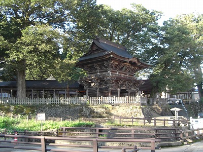 紅葉前の欅_a0084753_16131036.jpg