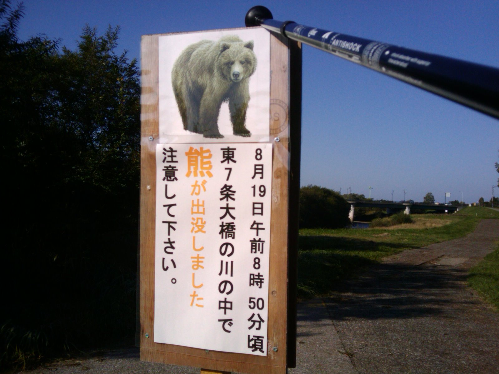 ゆめの森から森林公園_f0001254_11282563.jpg