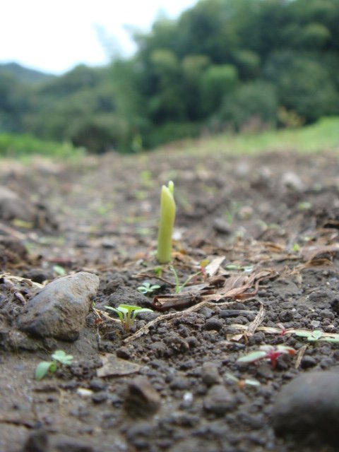 c0074157_21462090.jpg