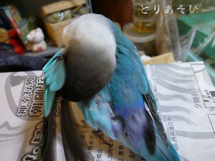 e0147757_23114517.jpg