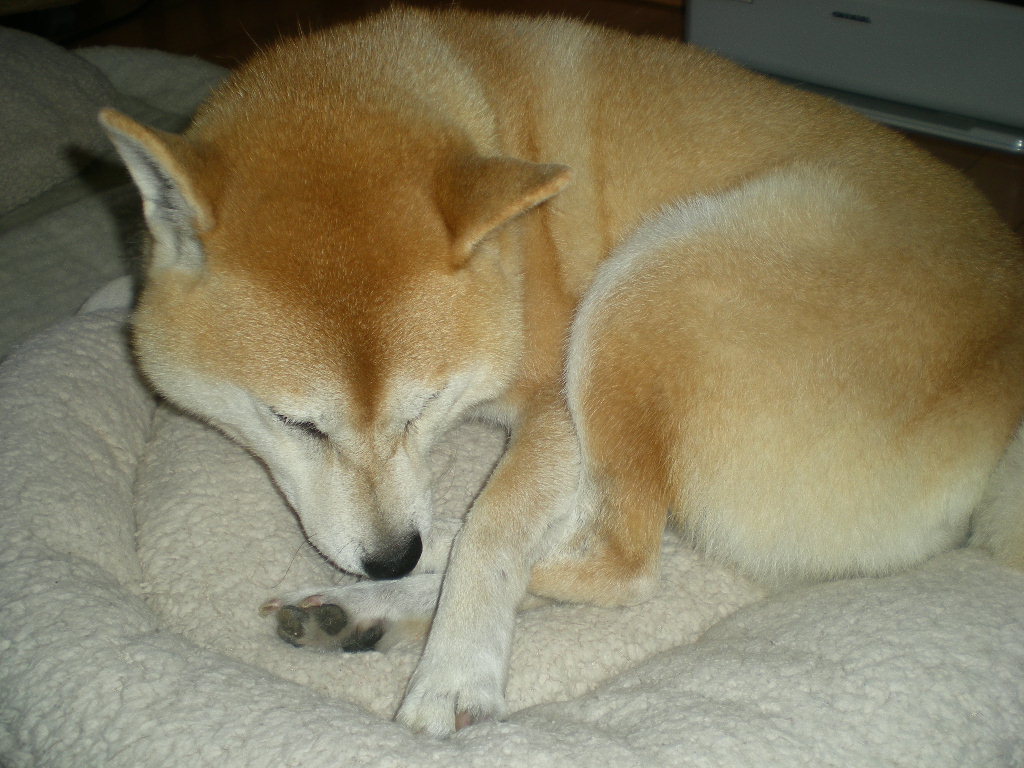 2010年10月1日(金)抜歯をバッシっと!_f0060461_1042242.jpg