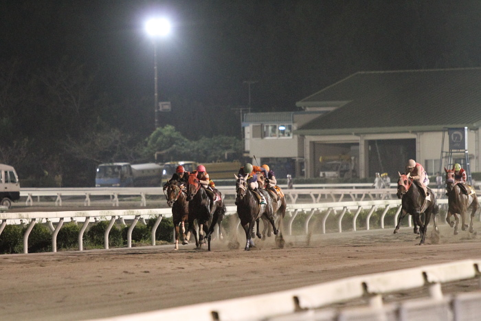 2010年9月26日（日） 高知競馬 8R 石中俊也協賛 高知の騎手応援特別 B-3_a0077663_89687.jpg