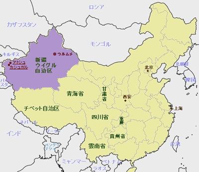 パルナシウス・パトリキウス・コッピ（1メス・中国新疆省） トリニダードトバコ産 Oxysteron festivum nigerrimum ♂♀ 22mm