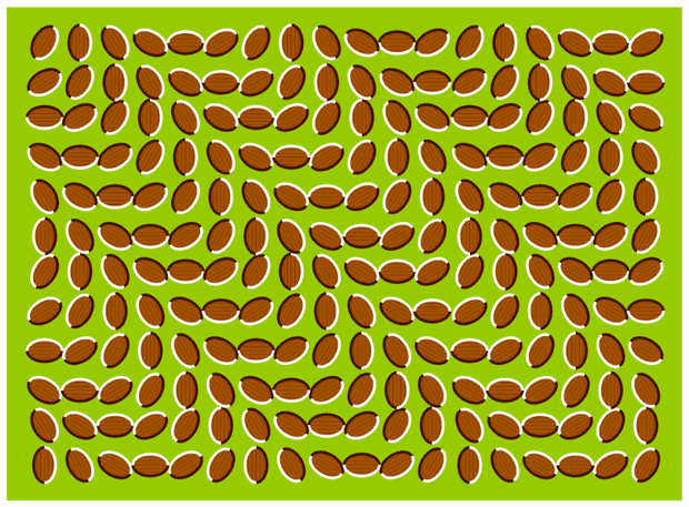 c0139375_1544212.gif