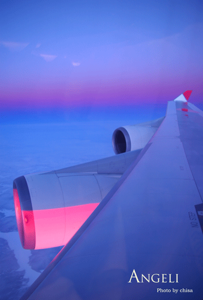 f0227975_1323159.gif