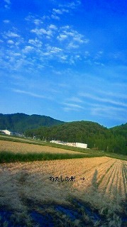 まんまるストラップ ~秋色~_e0168583_105959100.jpg