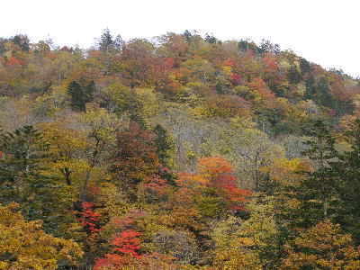 c0171889_16291769.jpg