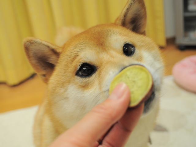 食欲の秋だもの_a0126590_092084.jpg