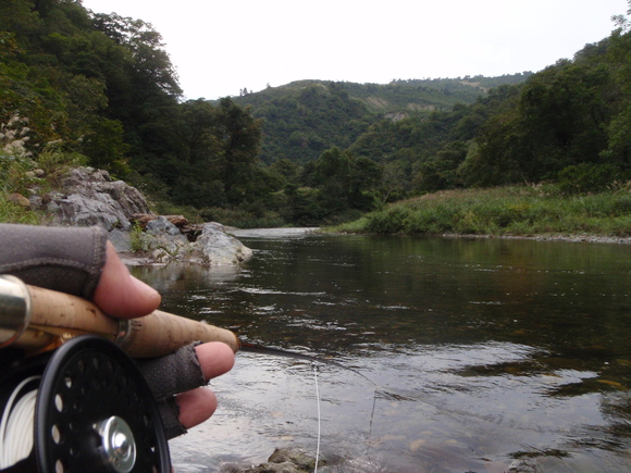 d0156298_02879.jpg
