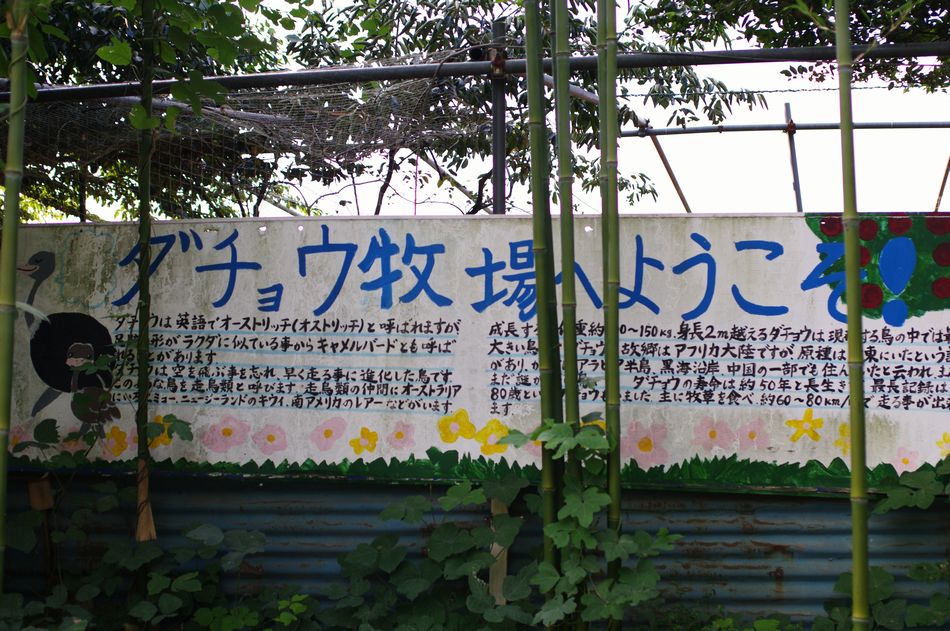 c0187503_23174895.jpg