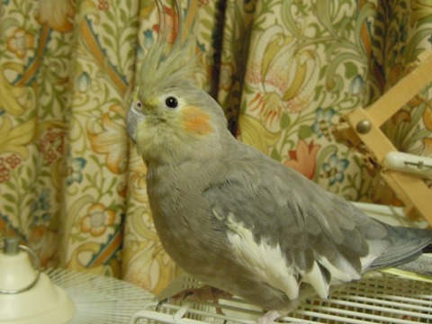 b0026408_1102746.jpg