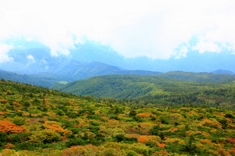 d0077811_2192678.jpg