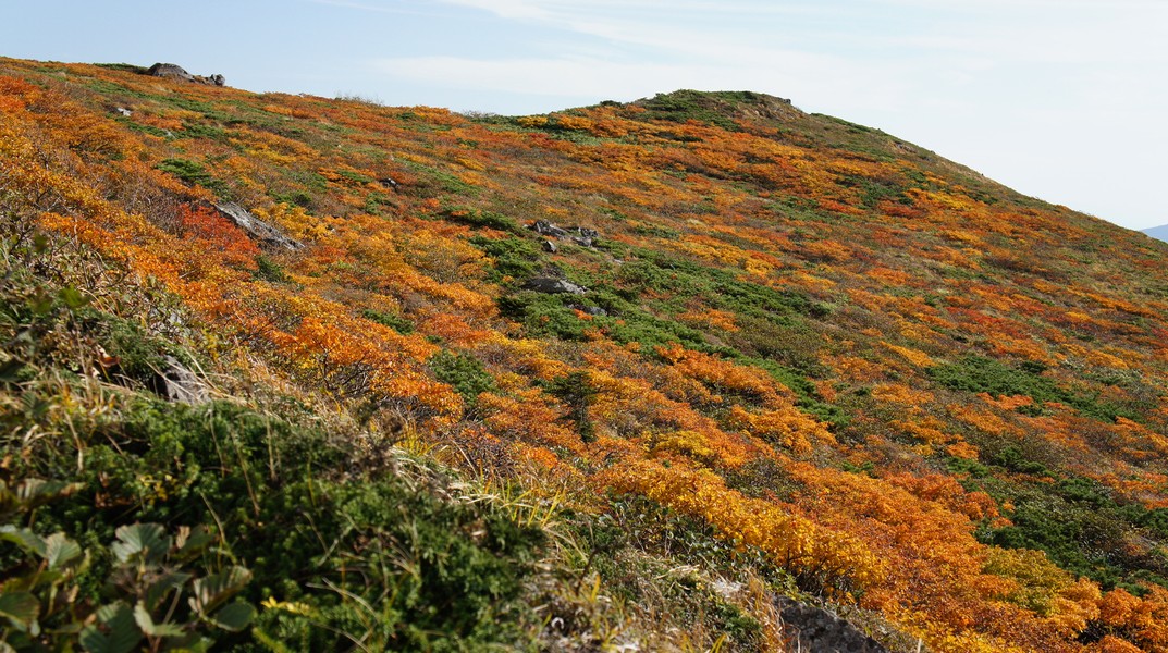 三ッ石山周辺の紅葉 - 岩手県八幡平市・雫石町_b0207218_2329573.jpg