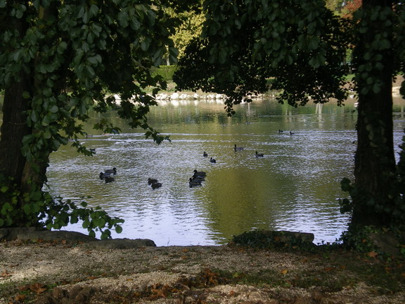 c0124619_23101574.jpg