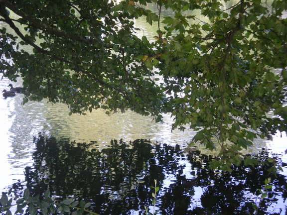 c0124619_2310375.jpg
