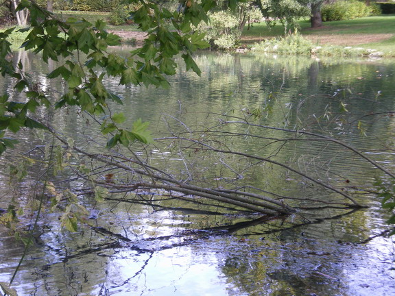 c0124619_2311067.jpg