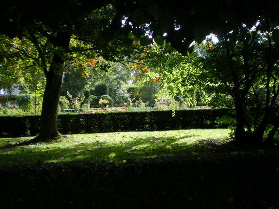 c0124619_23112280.jpg