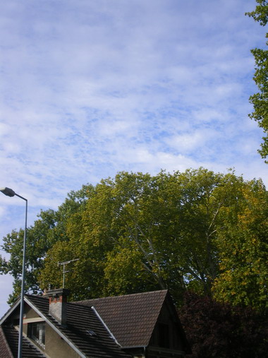 c0124619_2395220.jpg