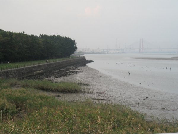 c0225420_9575420.jpg