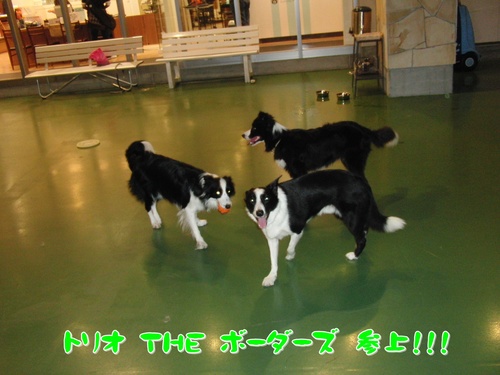 e0179321_2318377.jpg