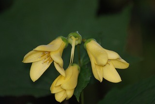 f0170524_840188.jpg