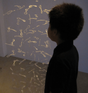 b0176027_695961.gif