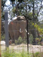 LA ZOOーその１_c0148627_17531322.jpg