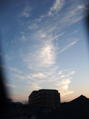 夕方からの散歩です。_f0108427_17441817.jpg