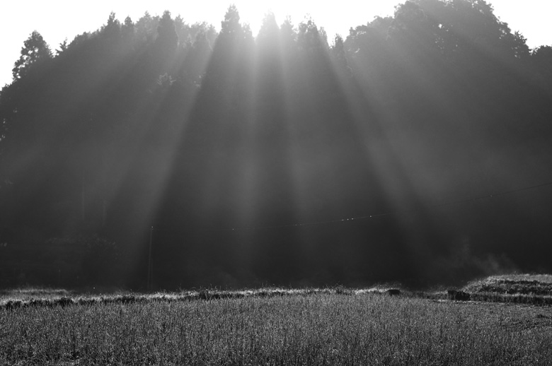 c0211429_20381535.jpg