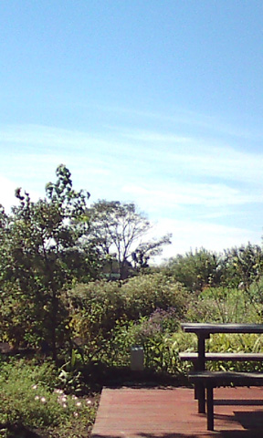 公園_c0077531_11223047.jpg