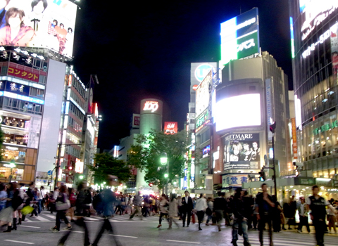 大都会の秋の夜 Okko Yokko Blog