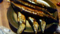 e0173738_10432777.jpg