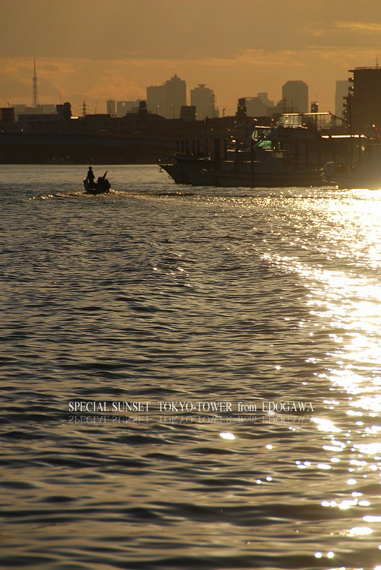 SPECIAL SUNSET & TOKYO-TOWER 2010_c0095342_19132489.jpg