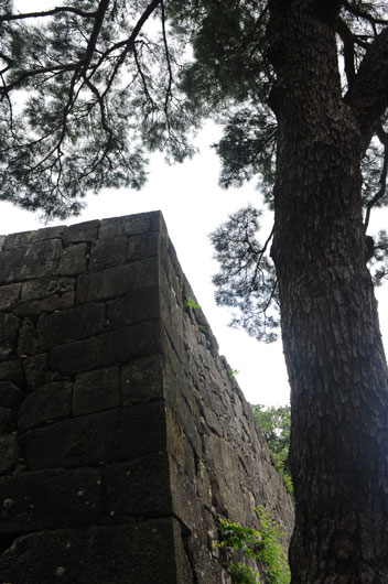 c0093046_714698.jpg